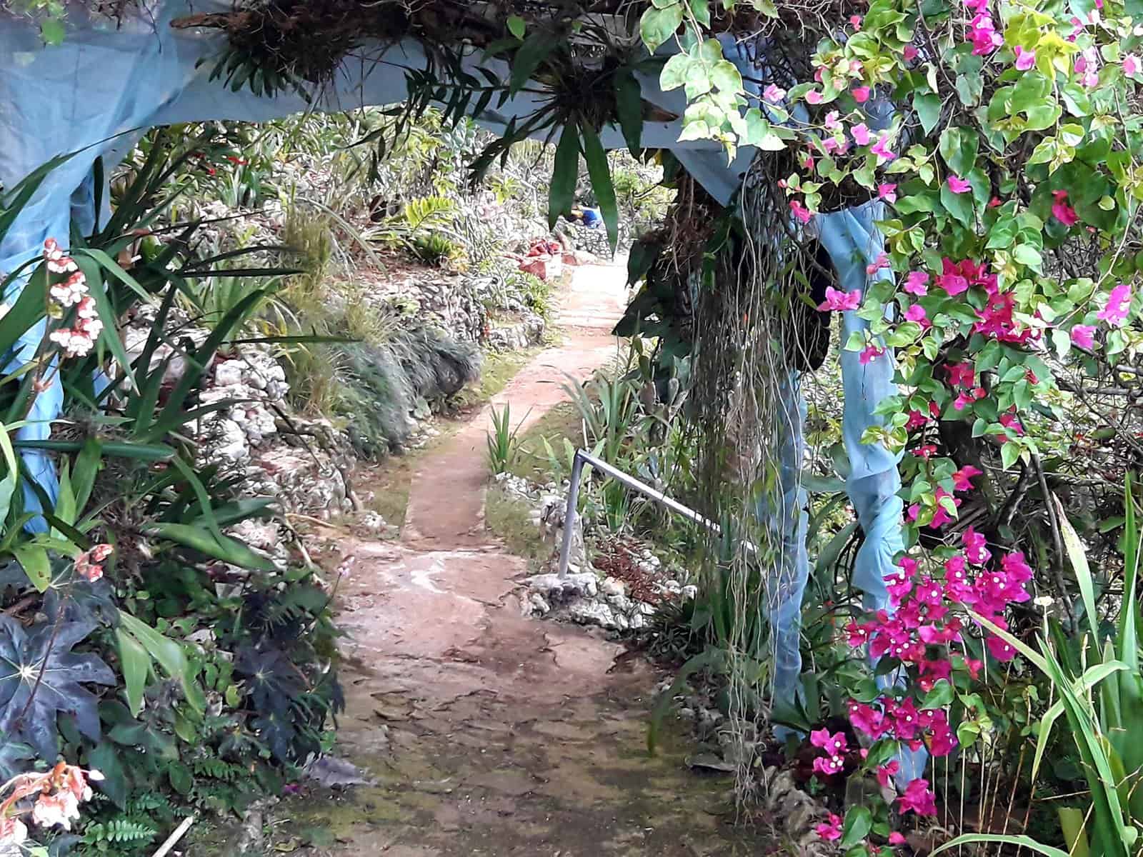 The best activities in Jamaica: what to see and what to do - Facebook