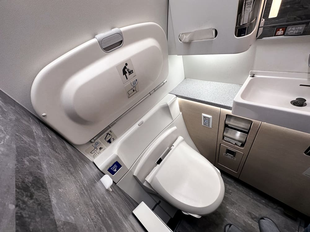 All Nippon Airways – 777 – Business The Room-21