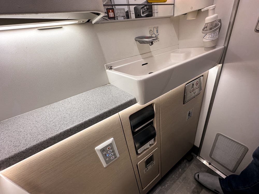 All Nippon Airways – 777 – Business The Room-22