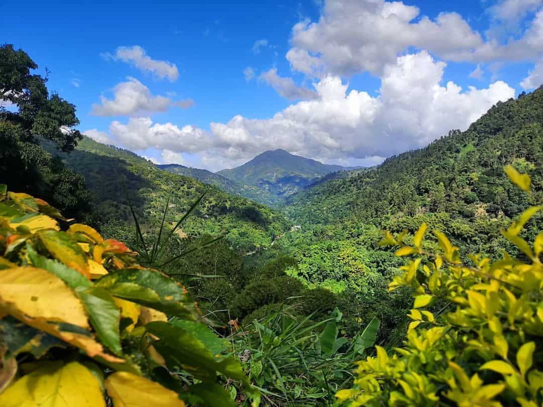 Blue Mountains 1 – Visit Jamaica Facebook