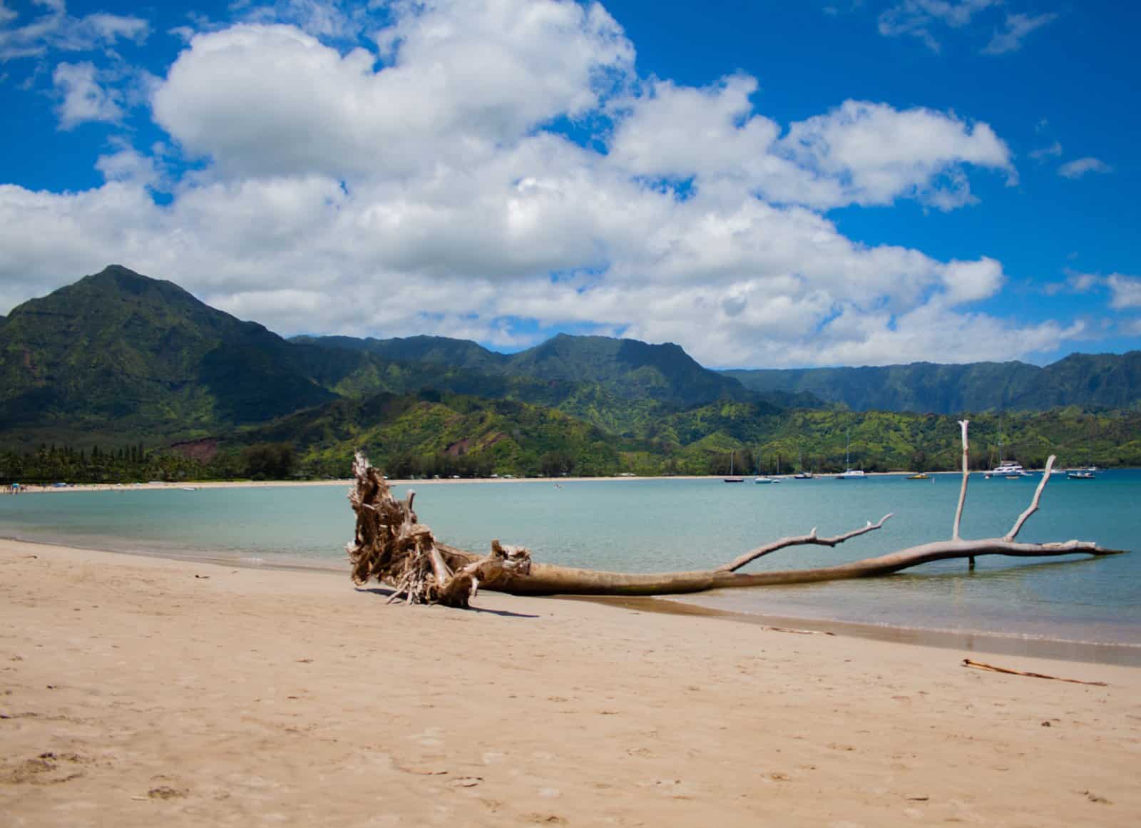 United States: Top 12 most beautiful beaches - Unsplash