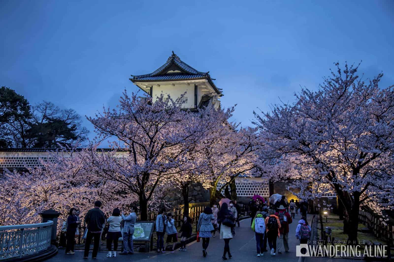 Japan: The 10 Best Places to Admire Cherry Blossoms - Img 0042