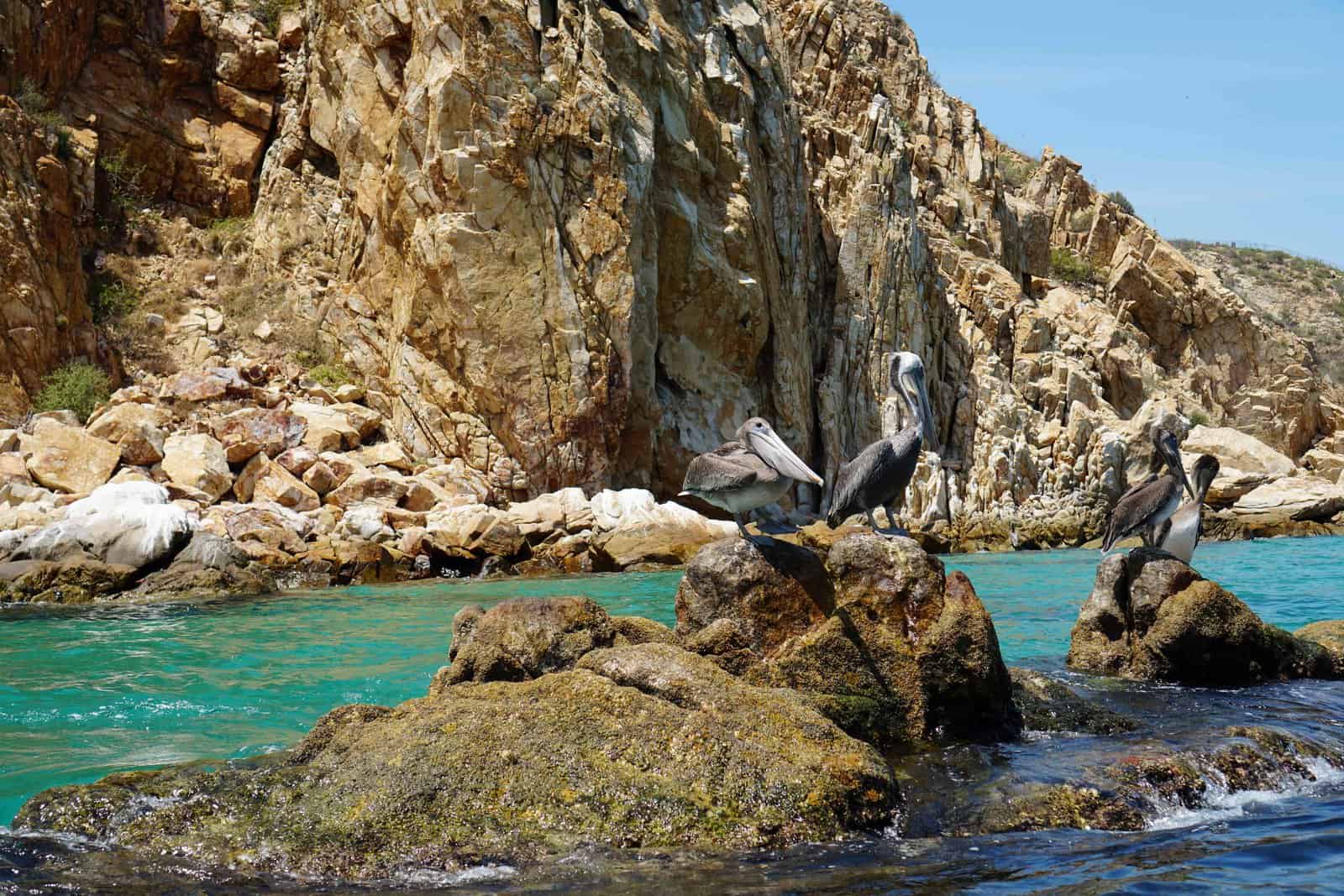 Mexique&nbsp;: 6 expériences bien-être pour votre voyage à Los Cabos - Los cabos salvador navarro maldonado unsplash