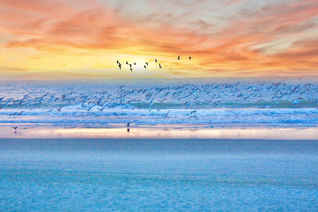 Myrtle Beach – Pixabay