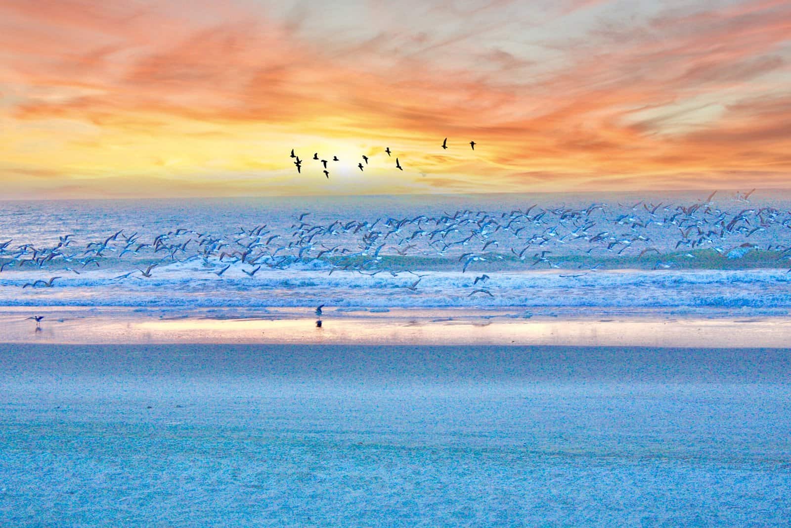 United States: Top 12 most beautiful beaches - Pixabay