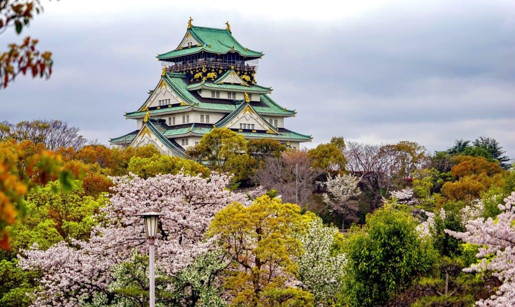 Osaka castle sakura