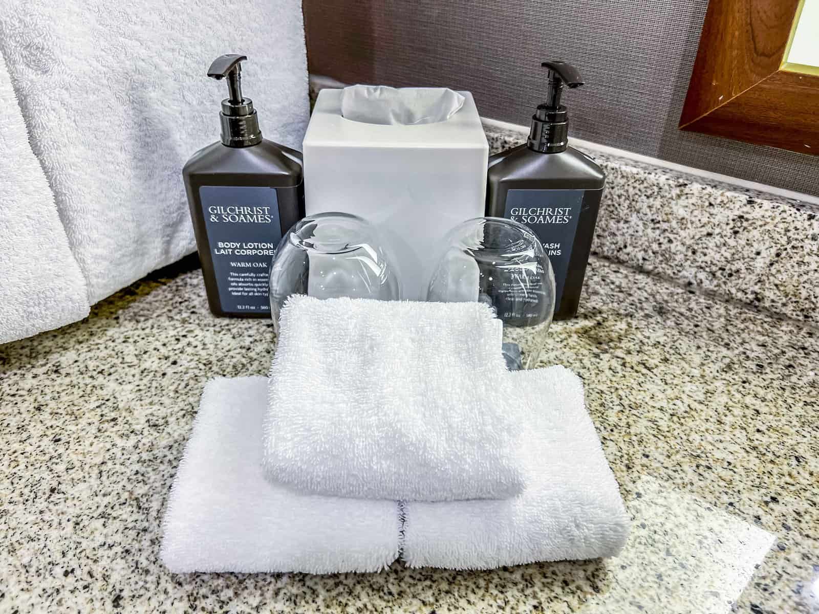 Avis&nbsp;: Sheraton Vancouver Airport Hotel | Marriott Bonvoy - Sheraton Vancouver Airport Hotel Richmond