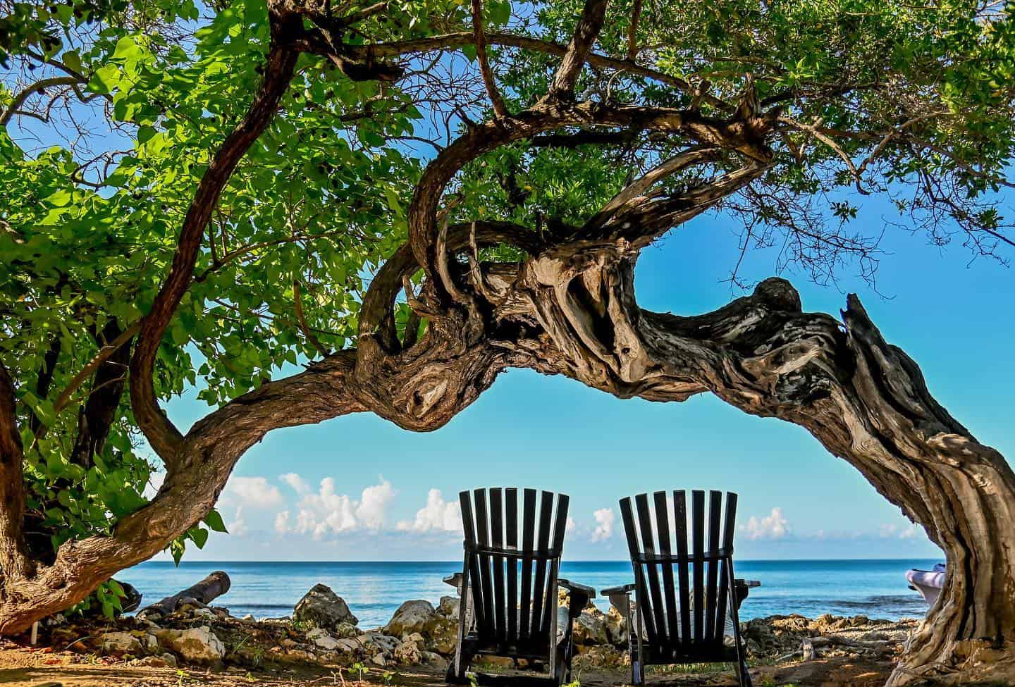 The best activities in Jamaica: what to see and what to do - Treasure Beach au Jakes Resort