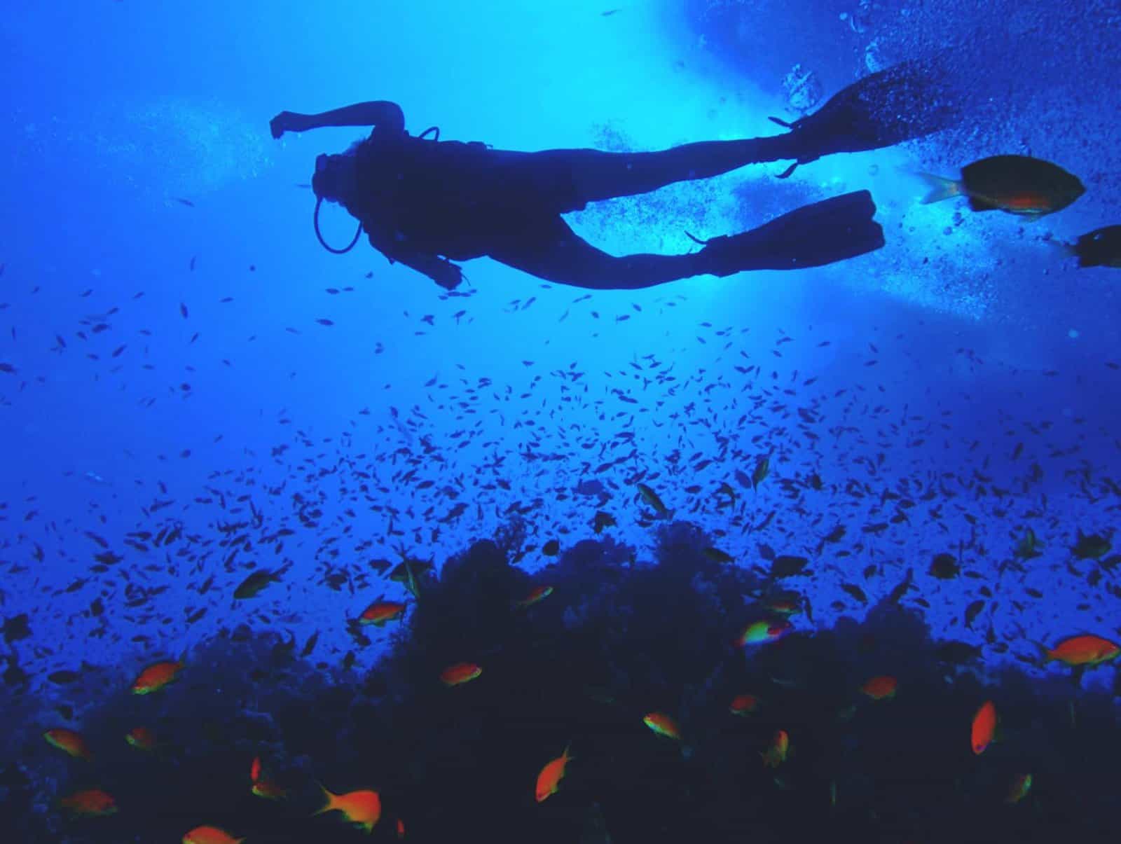Mexique&nbsp;: 6 expériences bien-être pour votre voyage à Los Cabos - Plongee a cabo pulmo los cabos tourism facebook