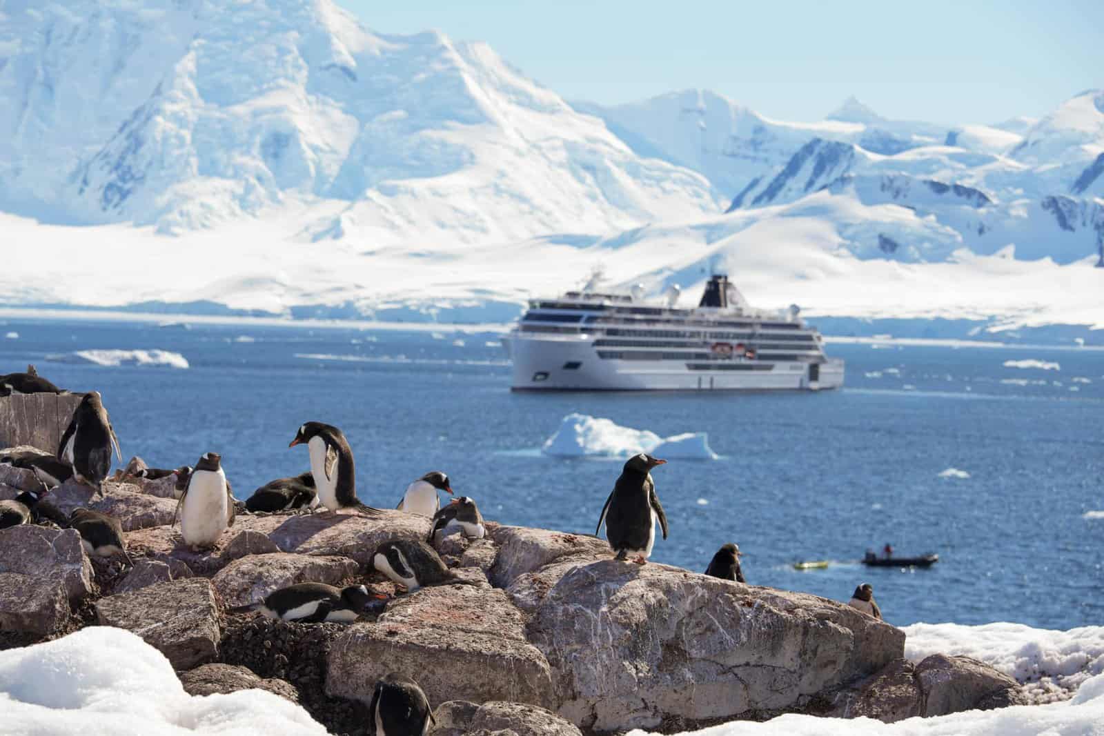 The best cruises for the type of traveller you are - Viking