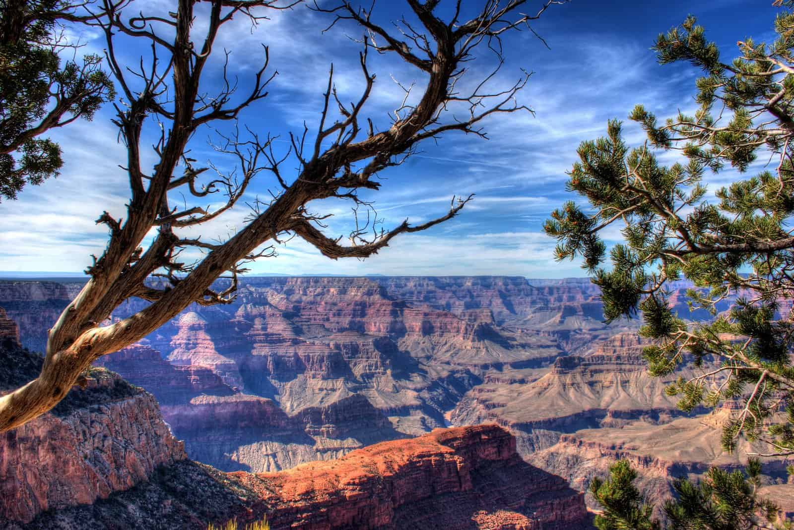 Trip to Las Vegas: Grand Canyon