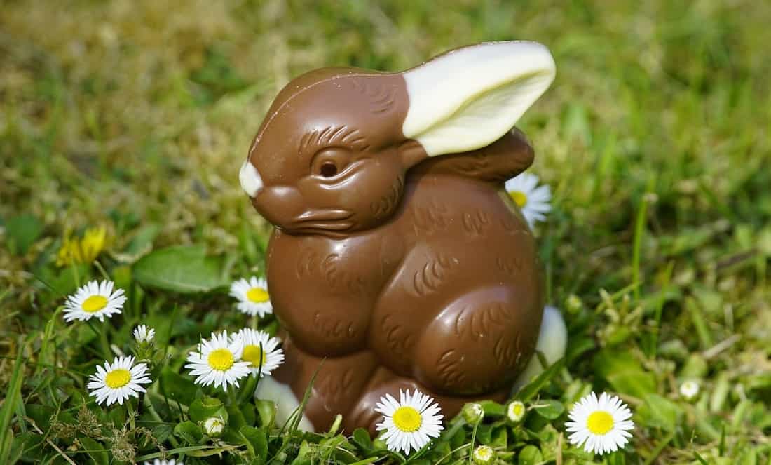Des idées d’activités pour profiter du congé de Pâques - lapin paques
