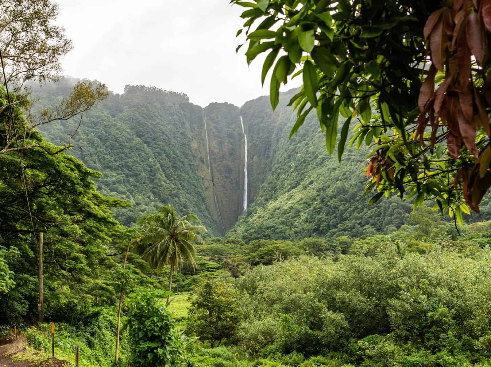 United States&nbsp;: Hawaii Travel Guide | Itineraries and Highlights - Unsplash