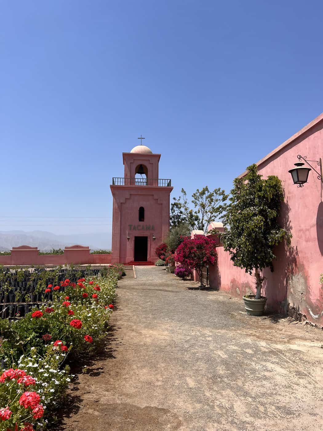 Peru: 3-week itinerary from Lima to Arequipa - IMG-8798