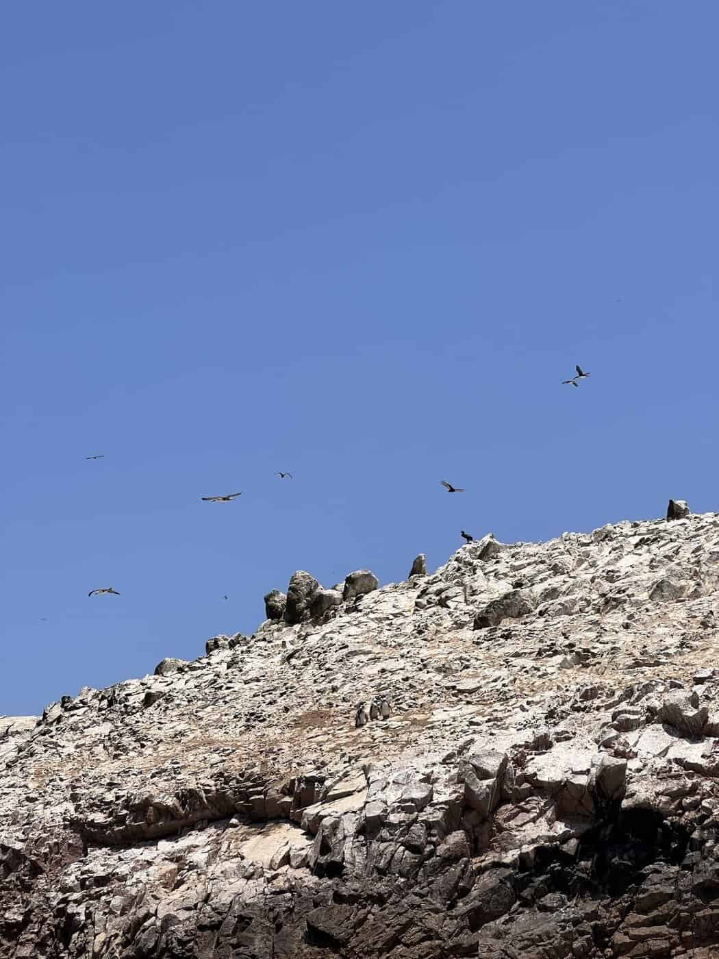 Pérou&nbsp;: Itinéraire de 3 semaines de Lima à Arequipa - Img 8862