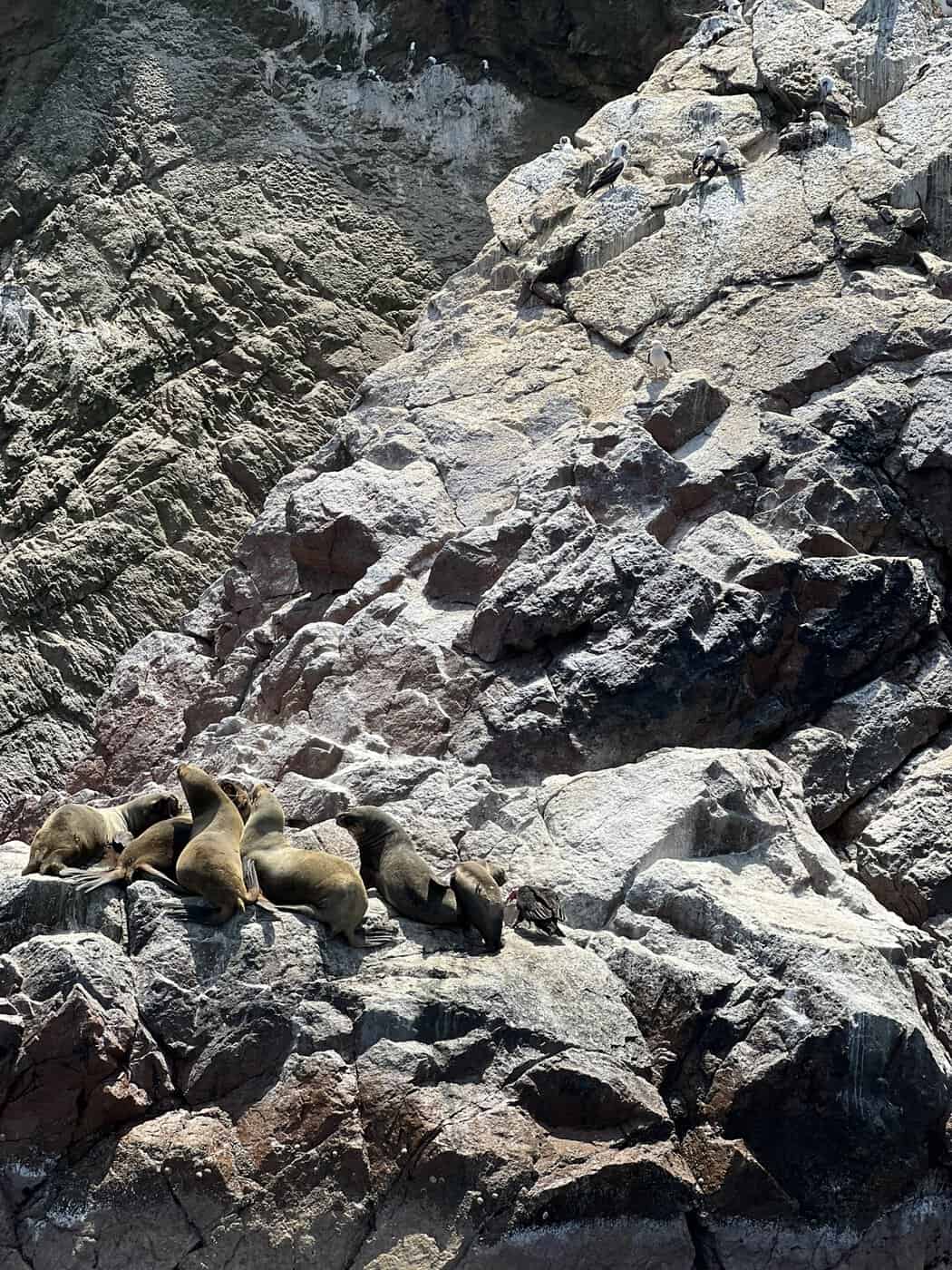 Pérou&nbsp;: Itinéraire de 3 semaines de Lima à Arequipa - Ballestas