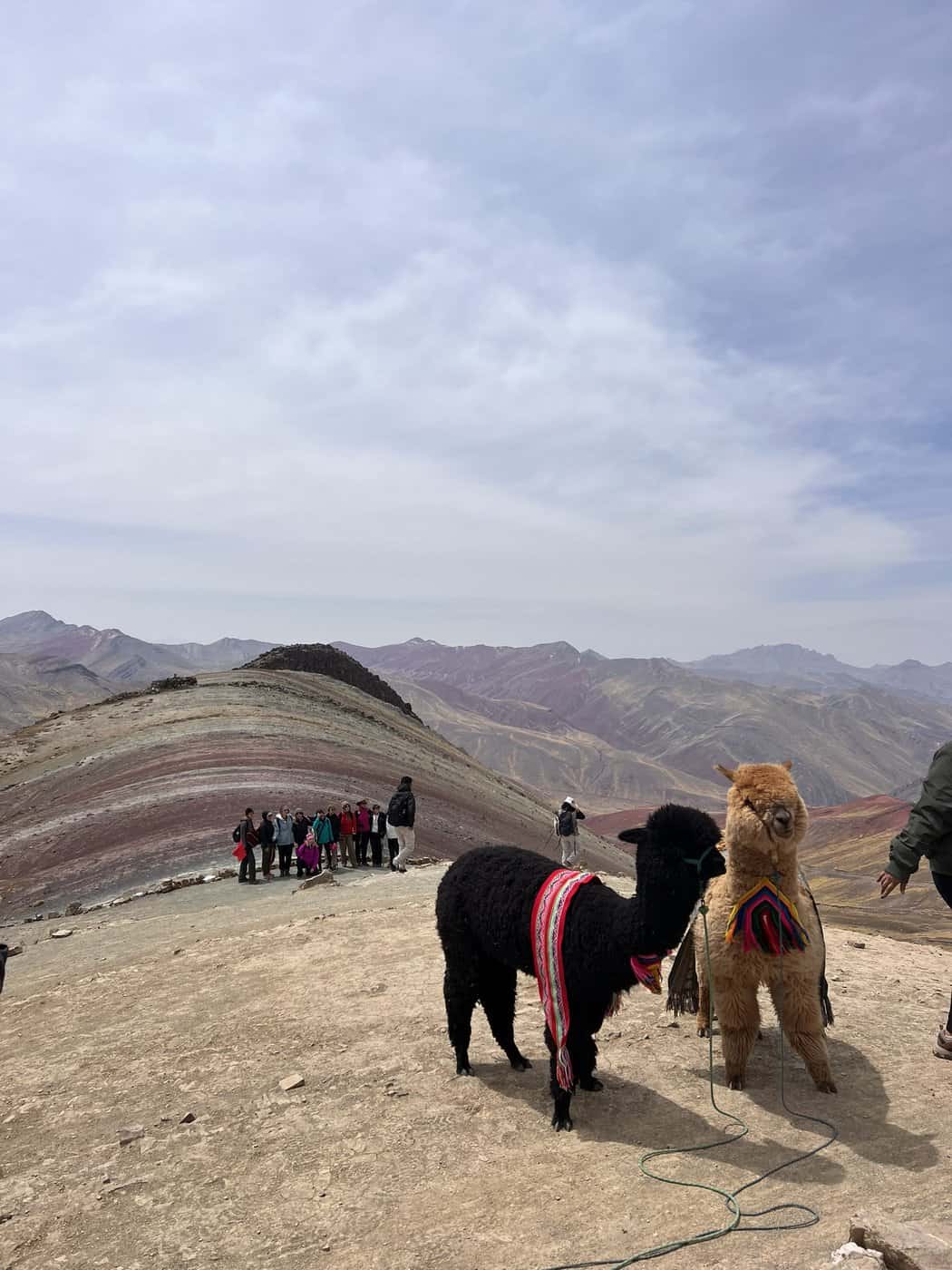Pérou&nbsp;: Itinéraire de 3 semaines de Lima à Arequipa - Palccoyo