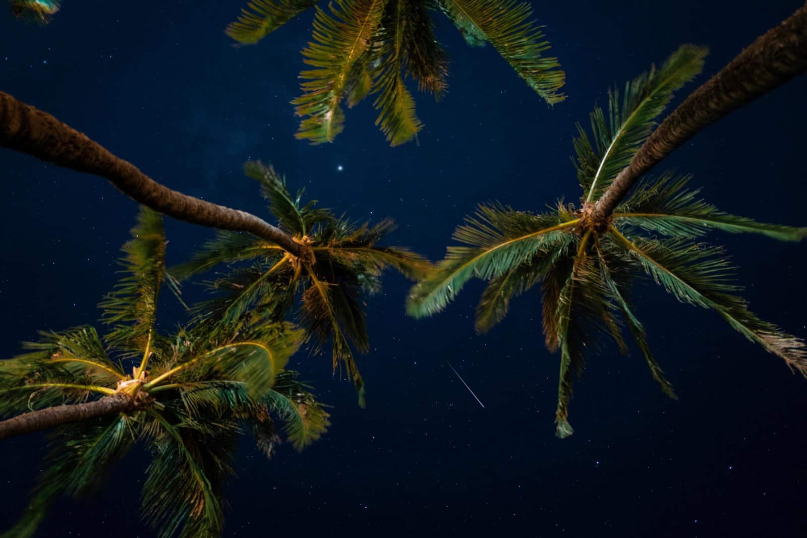 United States : Hawaii Travel Guide | Itineraries and Highlights - Lanai -unsplash