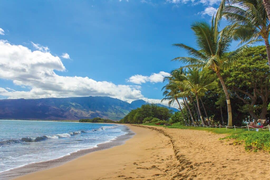 Maui – Pixabay