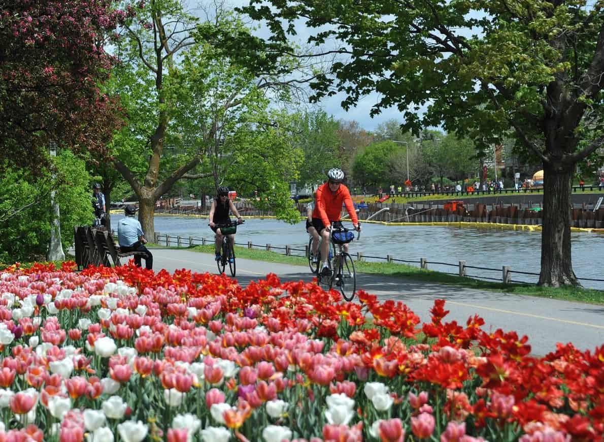 Canada&nbsp;: quoi faire à Ottawa | Suggestions d’activités et de restaurants - canal rideau