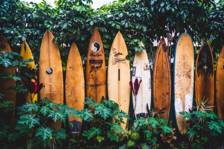Planches de surf à hawai unsplash