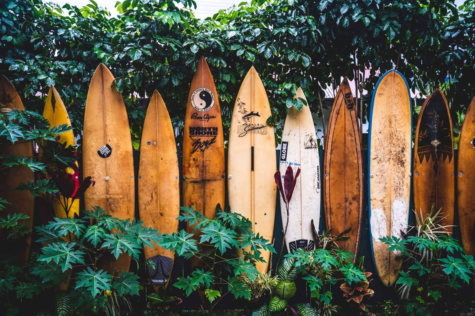 United States&nbsp;: Hawaii Travel Guide | Itineraries and Highlights - Unsplash