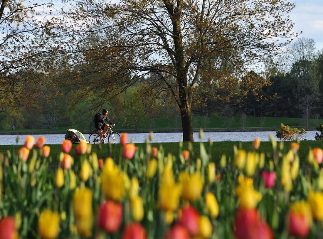 National Patriots' Day: what to do during the long weekend? - velo-canal-rideau