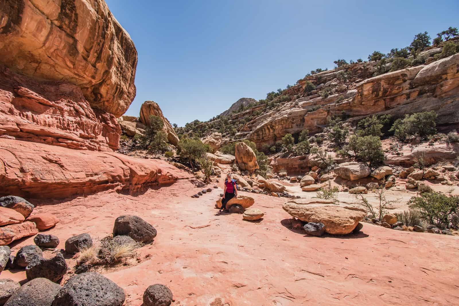 United States&nbsp;: Western America Road Trip Part 1 - Arizona - Crédit Annie T.2