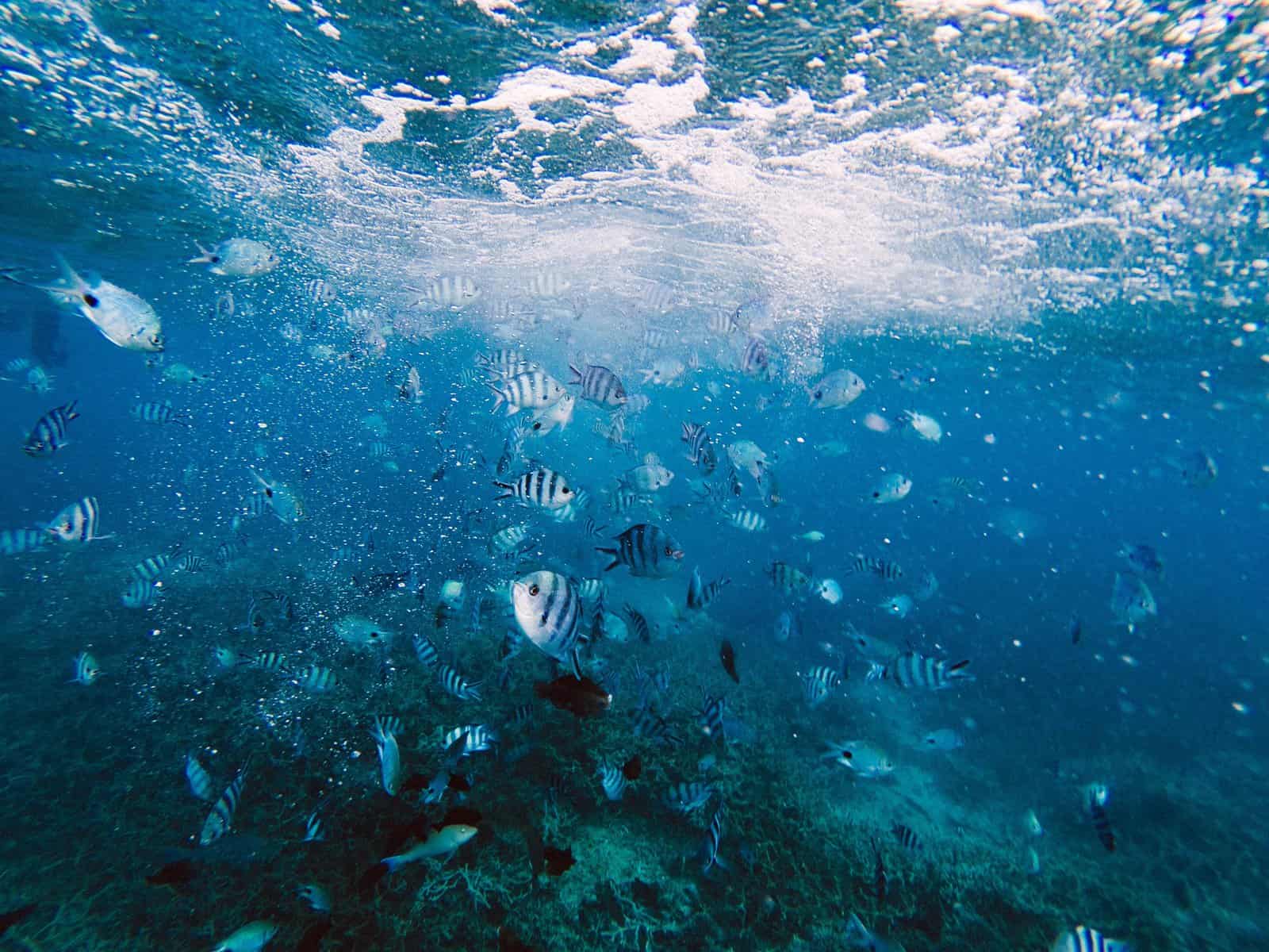 Mauritius: Travel guide | Itineraries and Highlights - Unsplash