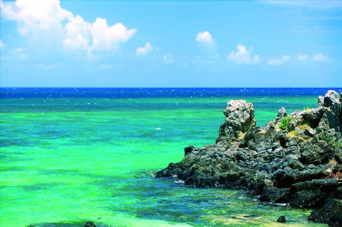 Réserve naturelle de l-île aux Aigrettes – Mauritius Tourism page Facebook