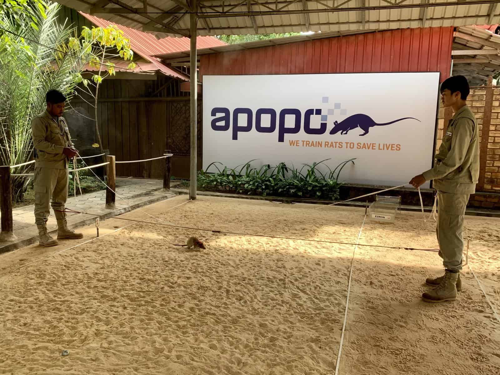 Cambodia: Travel Guide | Itineraries and Highlights - siem-reap-apopo