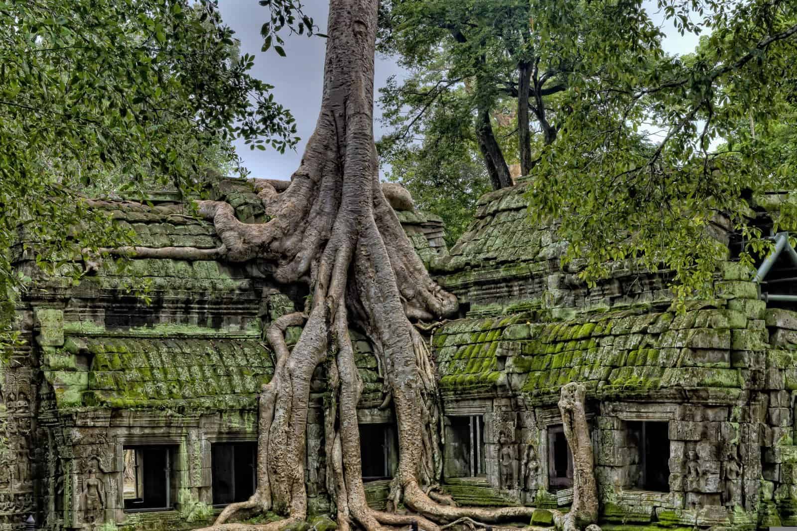 Cambodia: Travel Guide | Itineraries and Highlights - ta-prom-pixabay