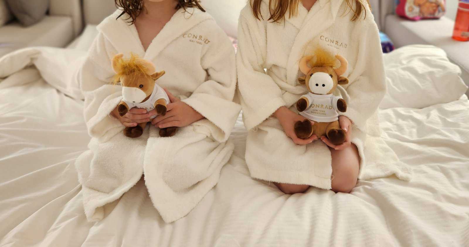 Avis&nbsp;: Conrad New York Downtown | Hilton Honors - Girls