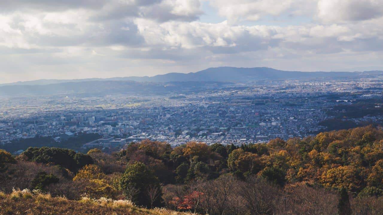 Nara must-sees: The ultimate guide to Japan's city of sacred deer - Nara specialités2