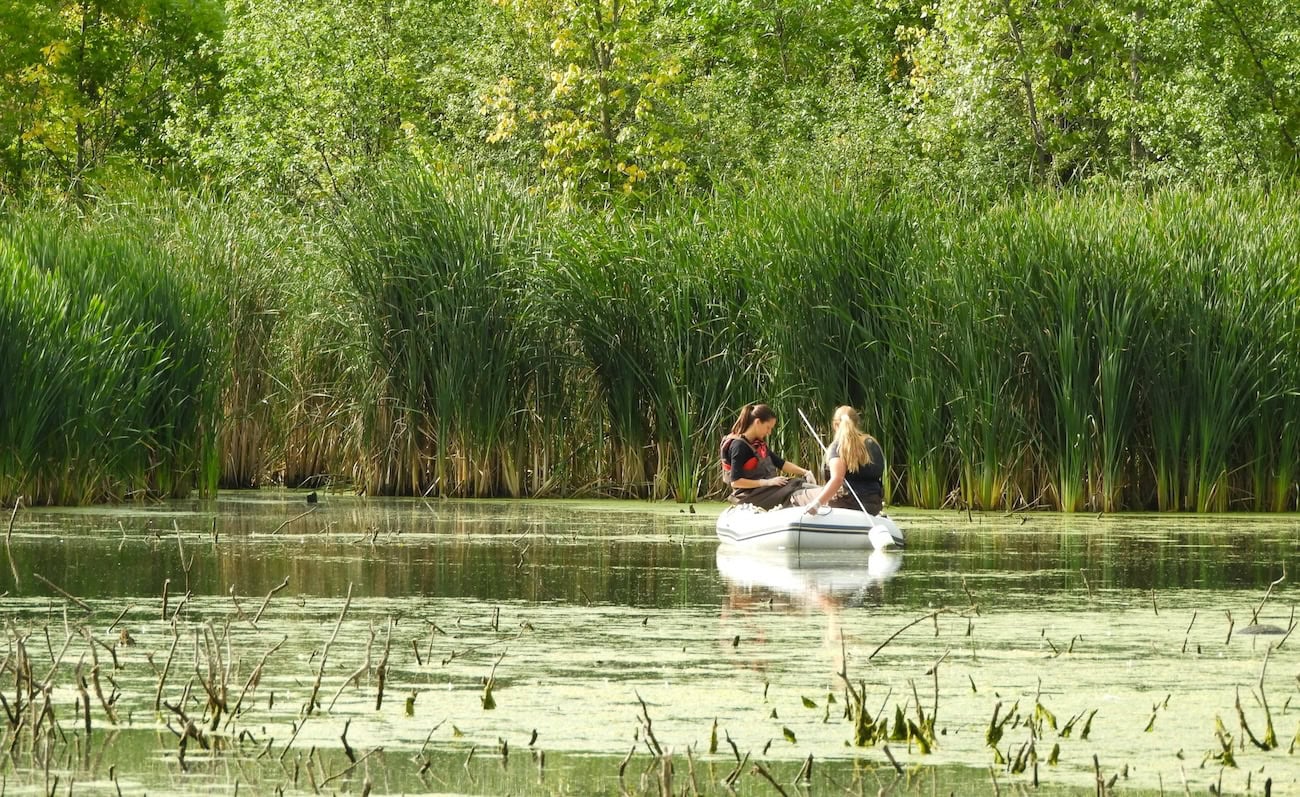 What to do on Labour Day - bateau-riviere-mille-ile
