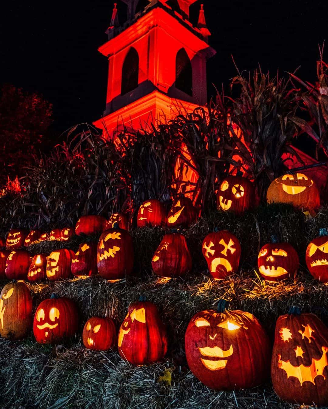 What to Do on Thanksgiving Weekend? - citrouille-.Pumpkinferno-action-de-grace