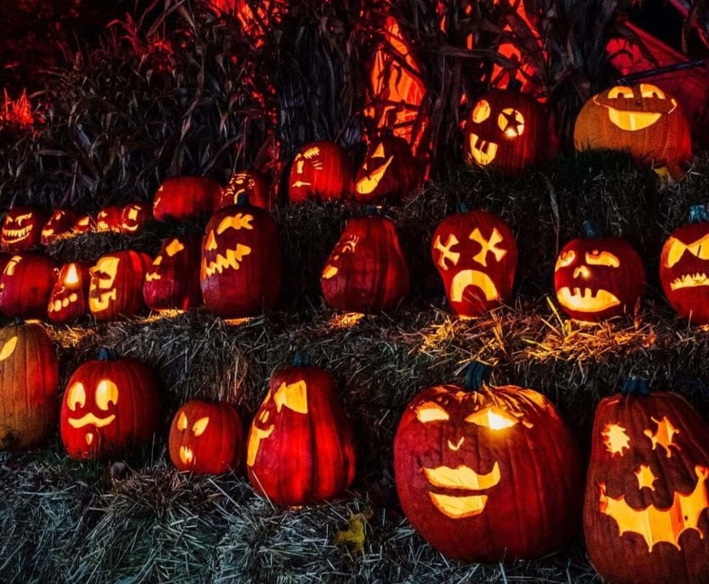 Des citrouilles illuminées