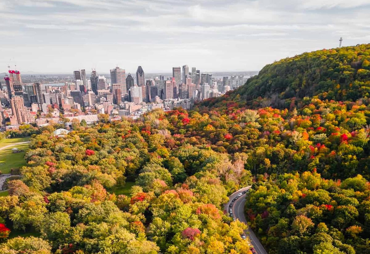 Fall Activities You Don’t Want to Miss in Montreal - mont-royal