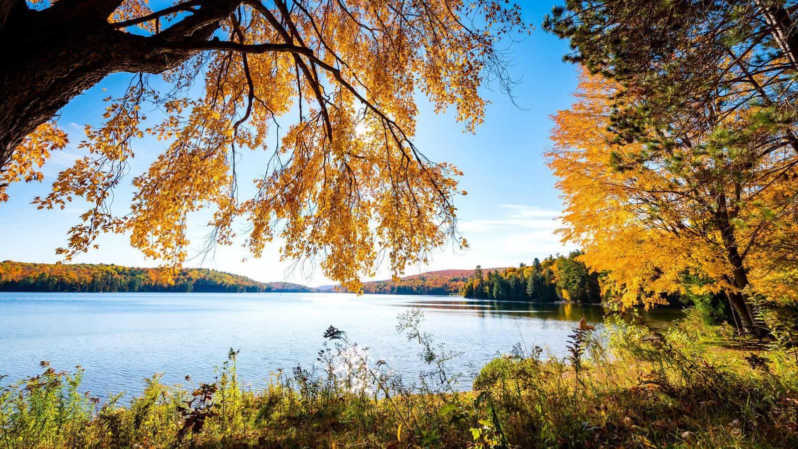 Fall Activities in Ottawa and Gatineau - ncc-fall-2018-8469-final-2020-09-30-165256