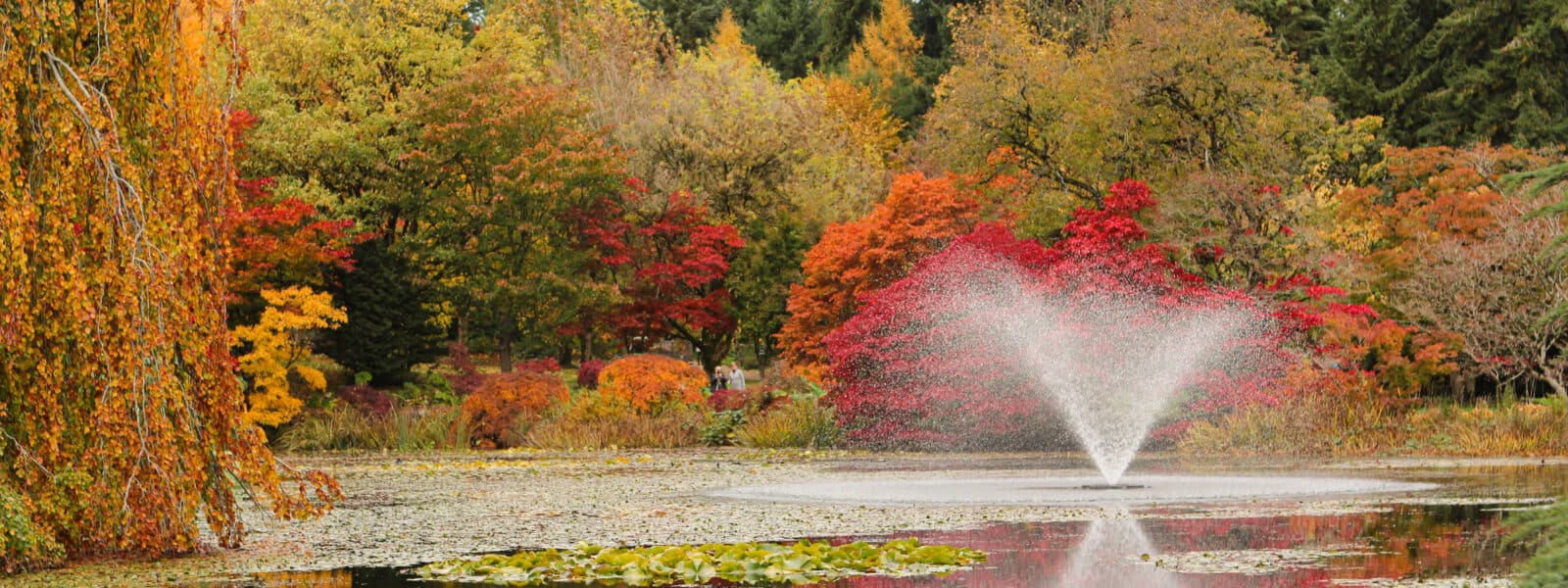 Canada: What to Do in Vancouver This Fall? - vancouver-vandusen