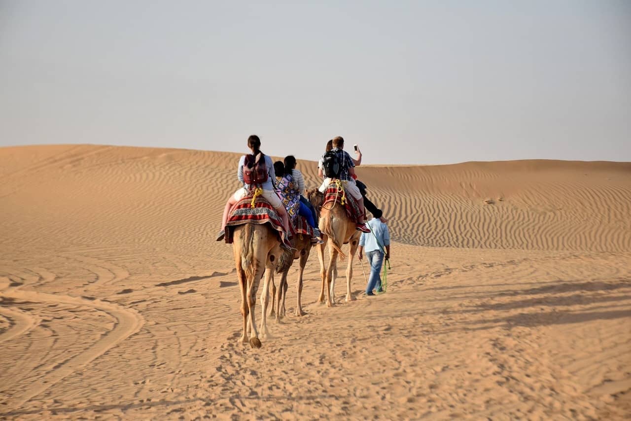 Air France-KLM and Etihad Airways partnership&nbsp;: Book award flights with Flying Blue - voyage-Emirat