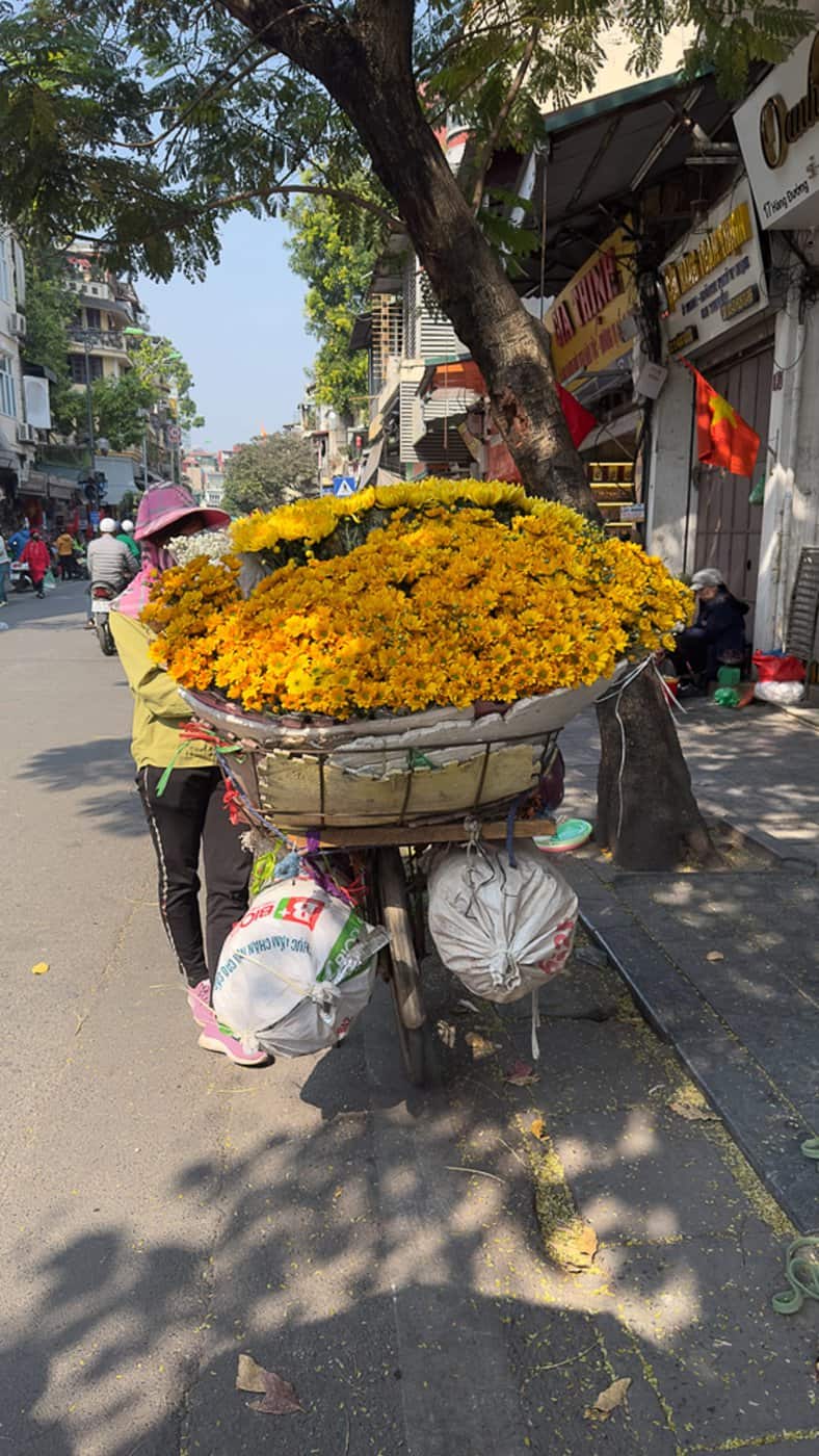 Vietnam Travel Guide | Itineraries and Highlights - Vietnam-13