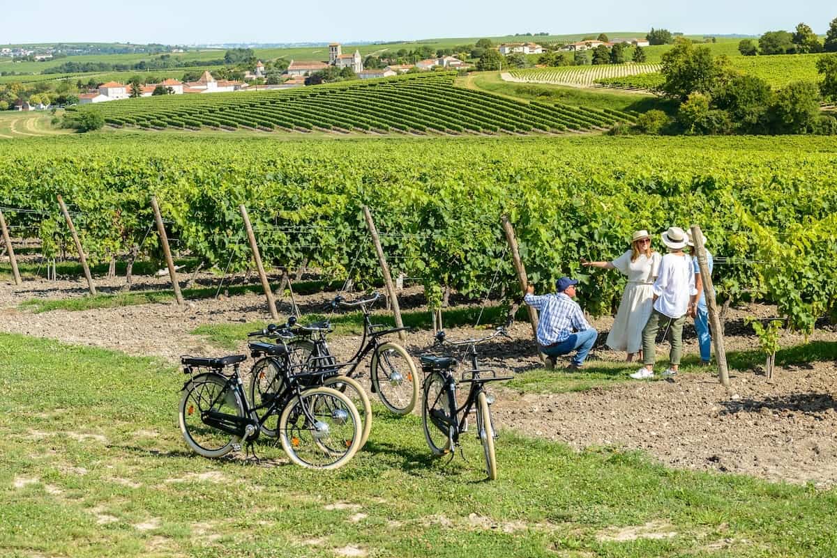 Paris 2024: Exploring France during the Olympic Games - Vignes-entre-deux-mers-tourisme