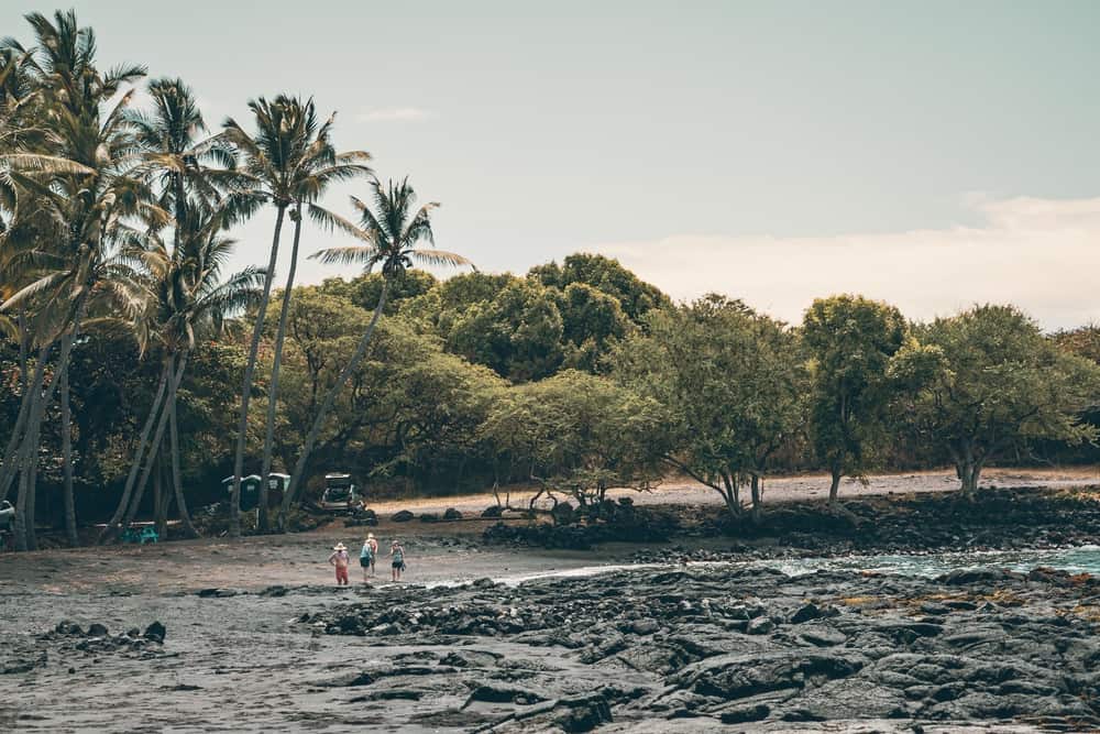 Big Island – Snorkelling 5