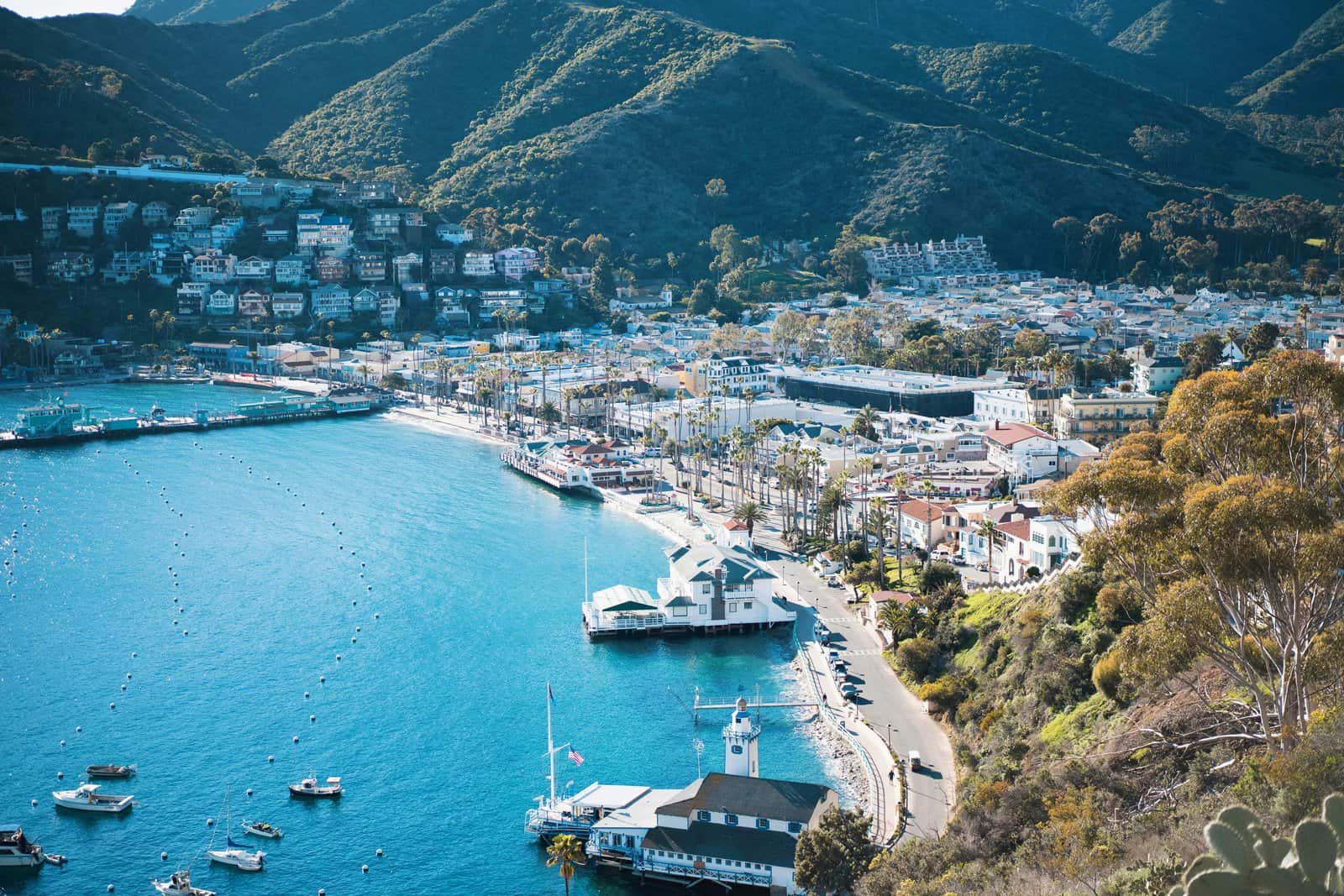 United States: the best tropical destinations - Catalina Island-unsplash