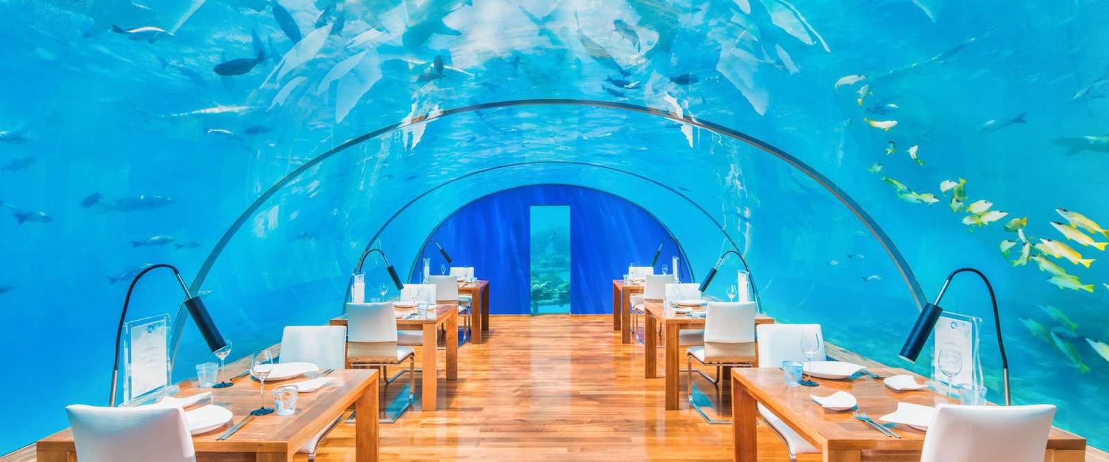 The World’s Most Romantic Destinations and Experiences - Ithaa Undersea Restaurant