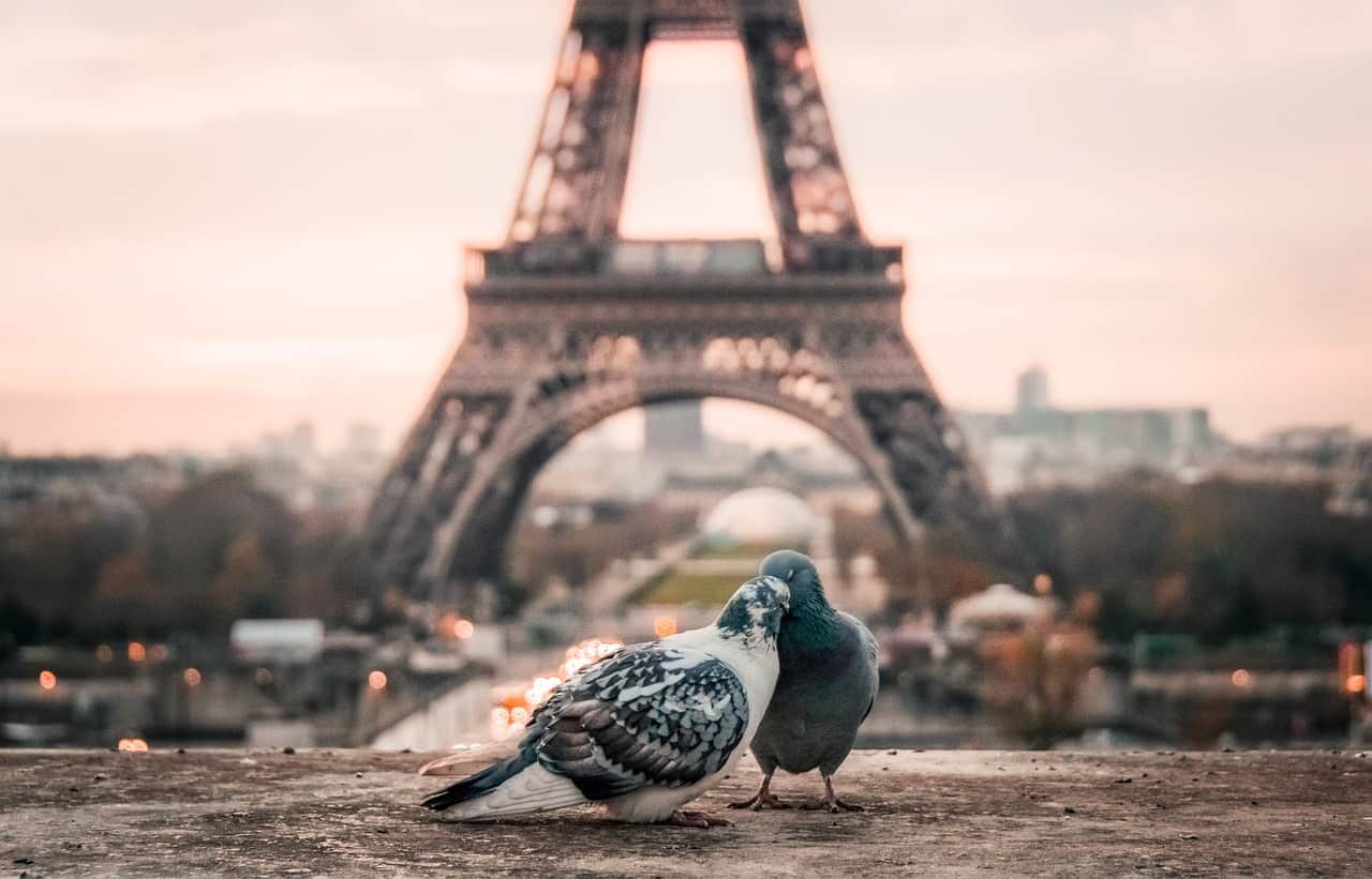 The World’s Most Romantic Destinations and Experiences - paris pixabay