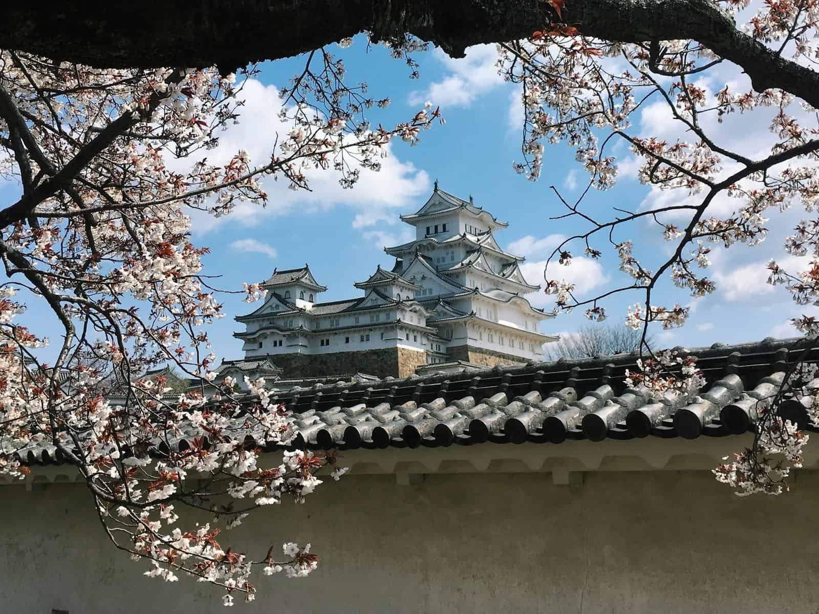 Japan: The 10 Best Places to Admire Cherry Blossoms - himeji-sakura-unsplash