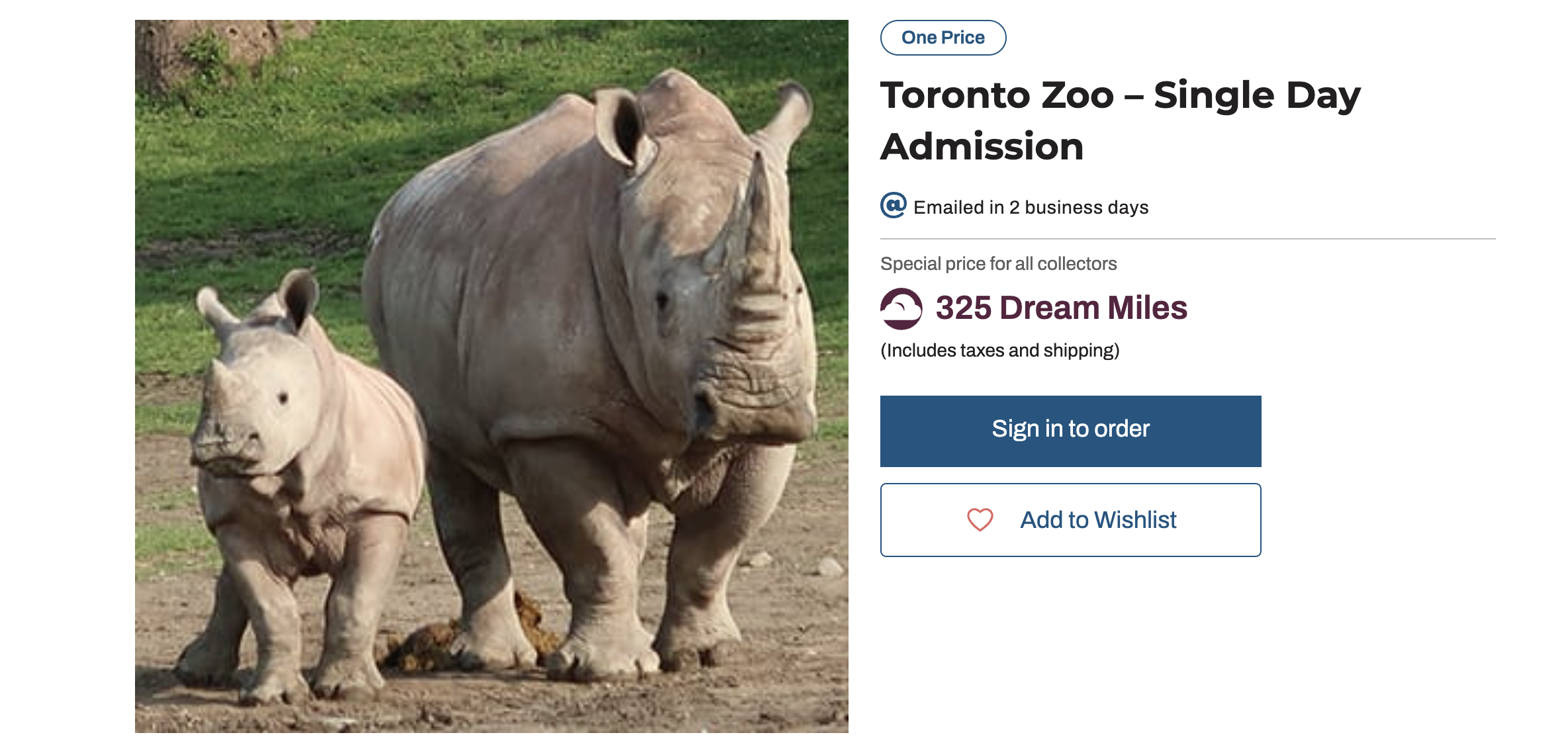 Travel Guide: What to Do on a Short Stay in Toronto - FR-zoo-milles