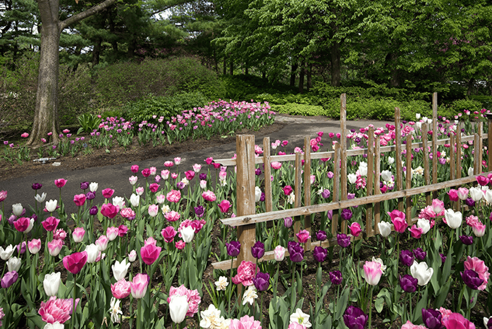 Six springtime activities in Montreal - jardins-parc